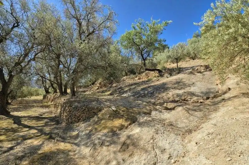Terreno rustico in vendita a El Pinar, imagen 19