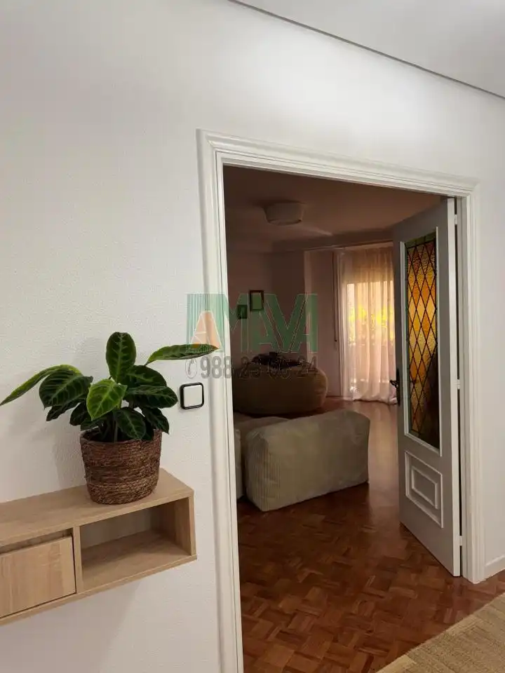 Sala d'estar de Pis de lloguer en Ourense Capital  amb Calefacció, Parquet i Traster