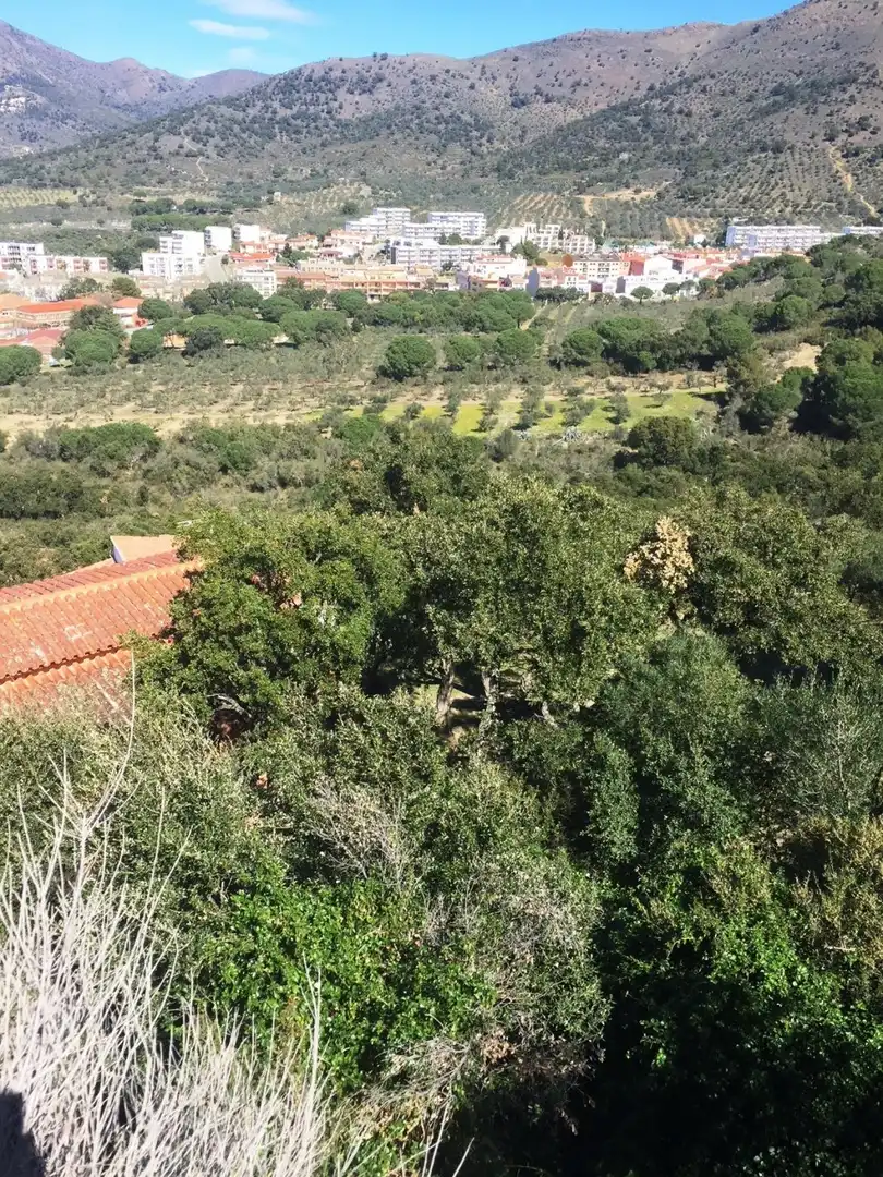 Terreny residencial en venda a Els Grecs - Mas Oliva, imagen 2