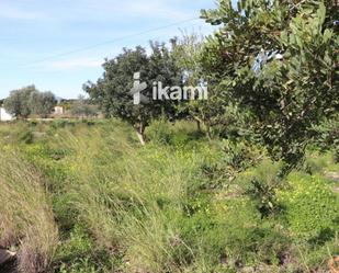 Land for sale in Els Poblets