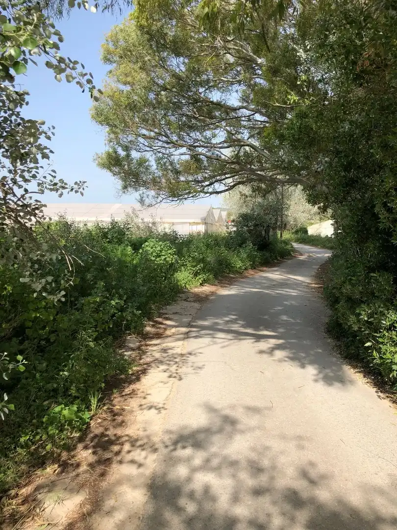 Terreni e lotti in vendita a Barbate ciudad, imagen 35