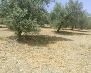 Finca rústica en venda en  Jaén Capital