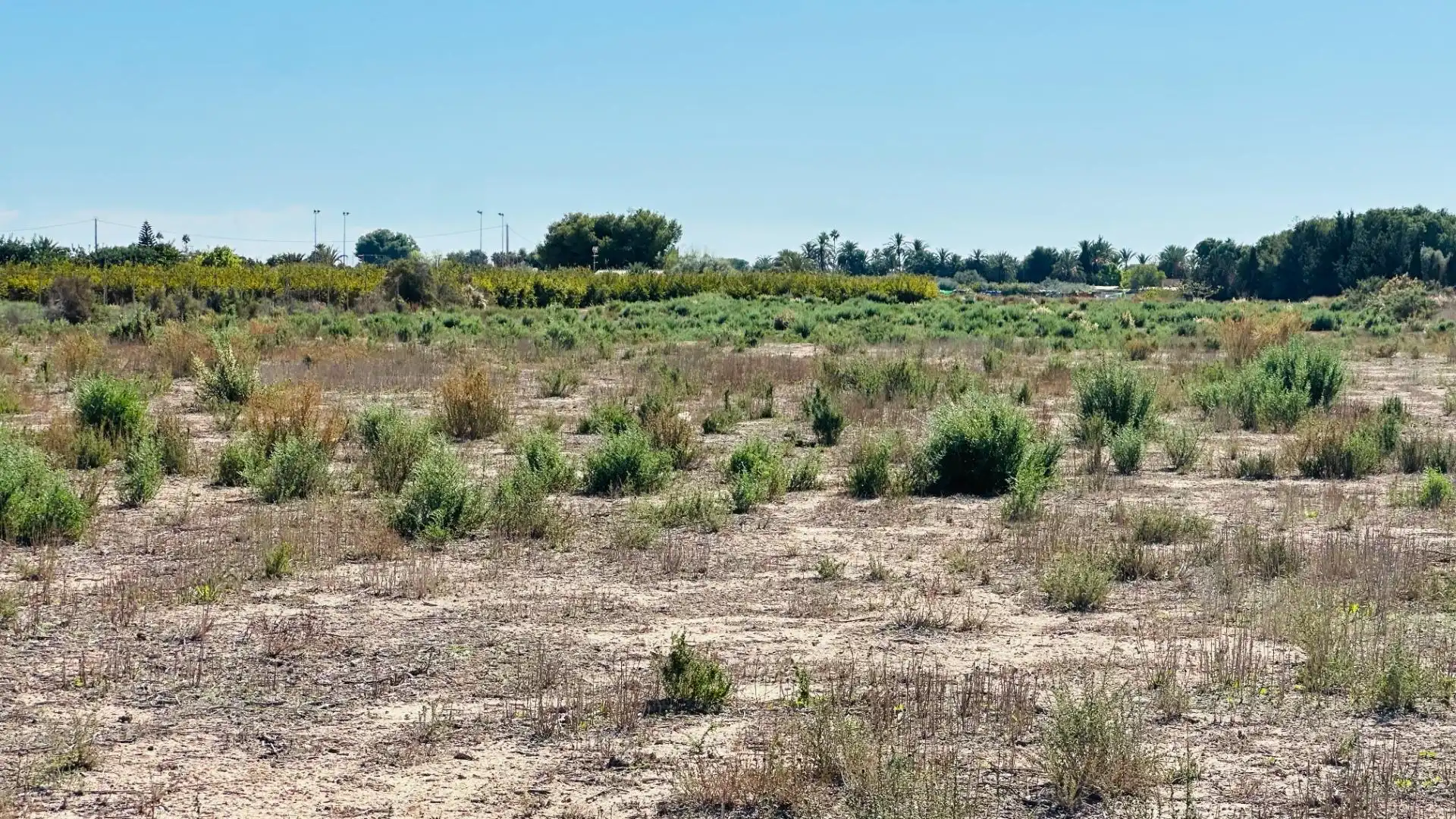 Residencial en venta en Elche / Elx