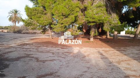 Foto 3 de Casa o chalet en venta en Albatera, Alicante