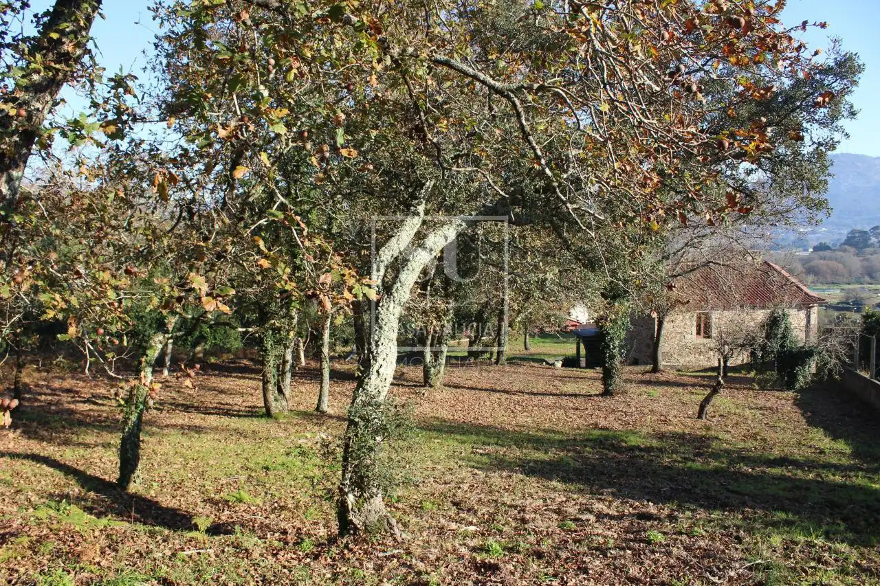 Xalet amb jardí en venda a O Rosal, imagen 24
