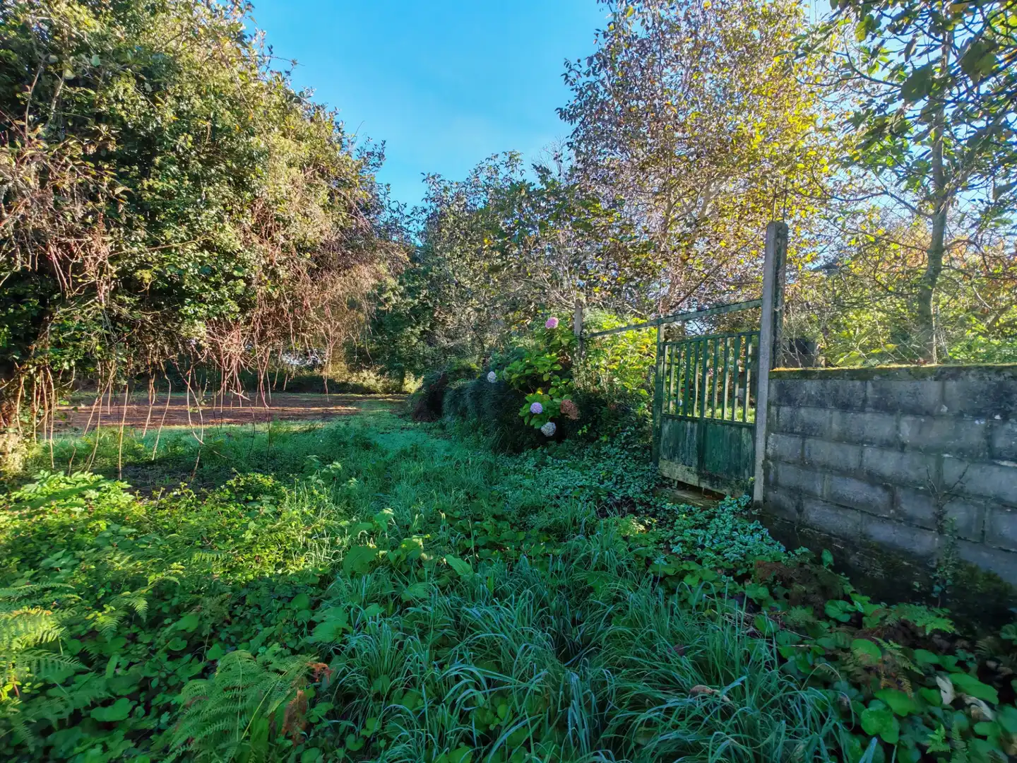 Land for sale in Sada (A Coruña)