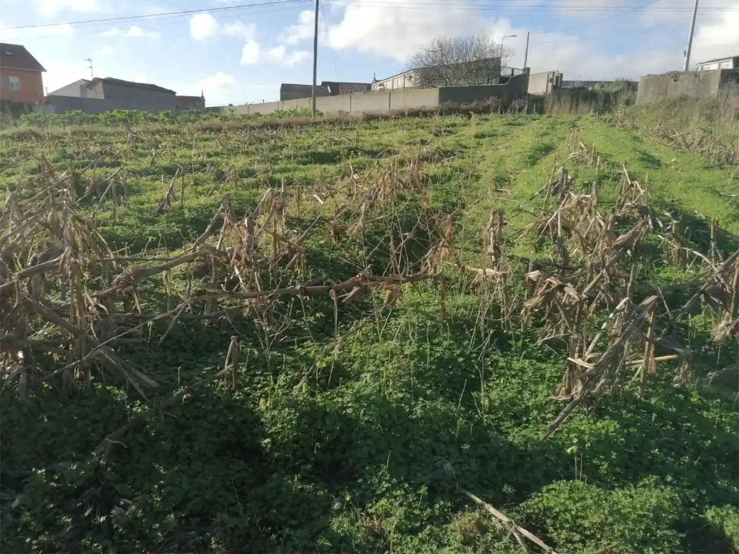 Residencial en venda en Malpica de Bergantiños