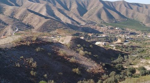 Immagine 4 dell'annuncio