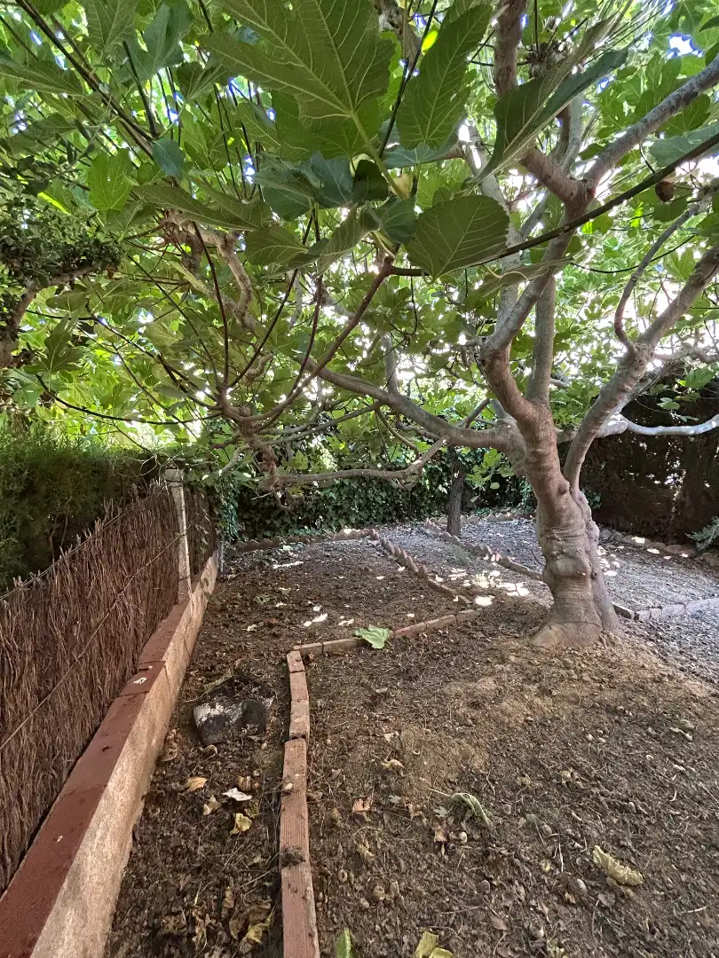 Jardí de Casa o xalet en venda en Torredembarra amb Jardí privat, Terrassa i Traster