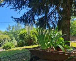 Garden of House or chalet for sale in Mondariz-Balneario  with Heating, Private garden and Terrace