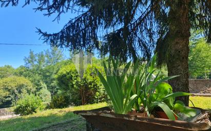 Garten von Haus oder Chalet zum verkauf in Mondariz-Balneario mit Terrasse