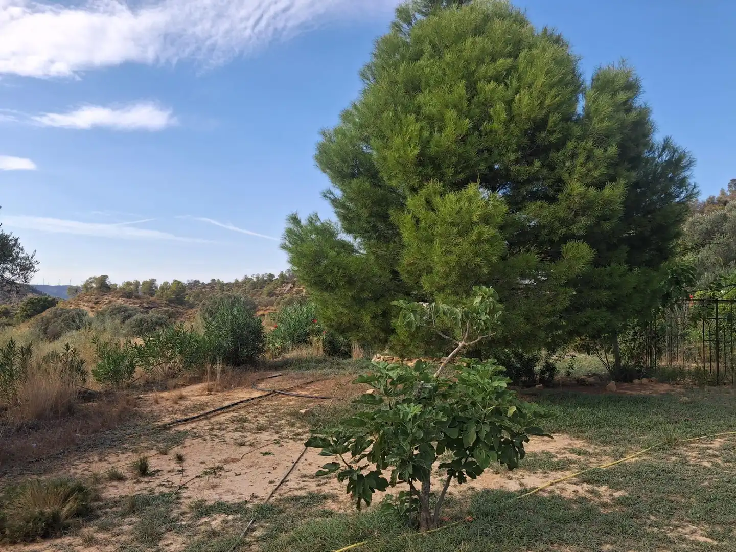Chalet en venta en Polígono 5 Paraje 127 334, imagen 27