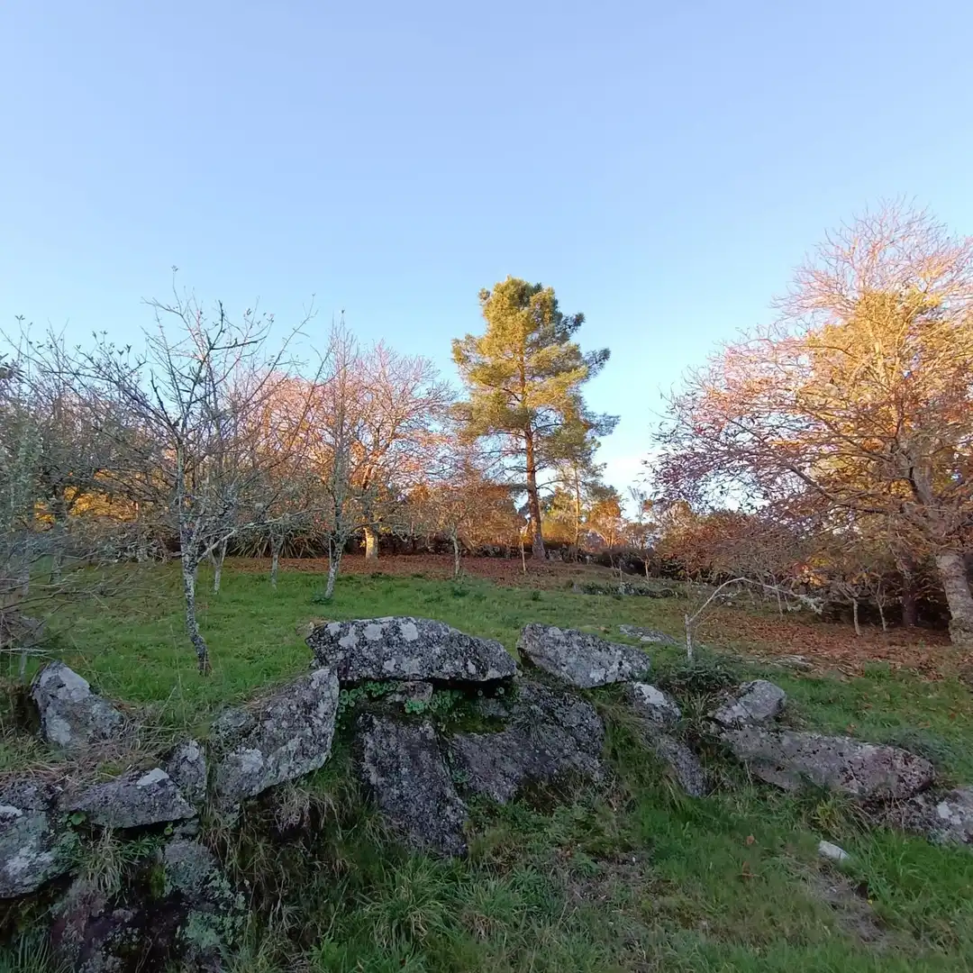 Casa o xalet en venda en Cotobade amb Jardí privat