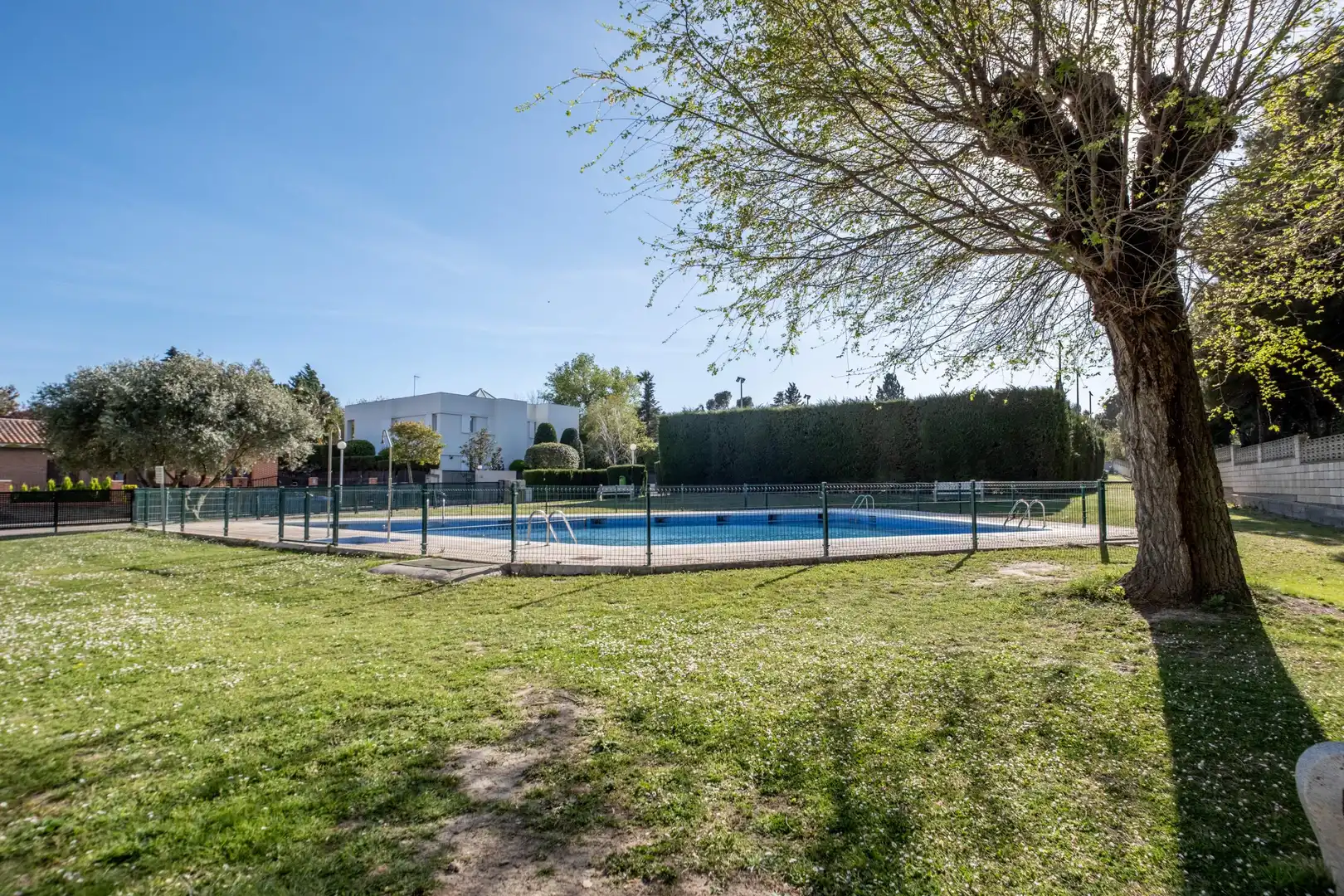 Swimming pool of Residential for sale in Zaragoza