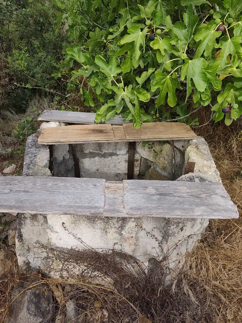 Garten von Grundstücke zum Verkauf in Sa Pobla