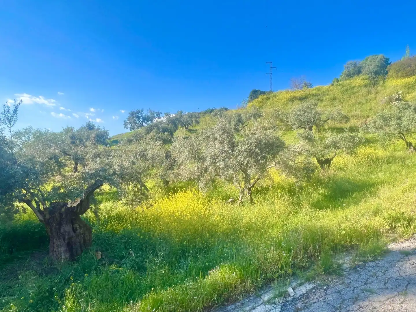 Terreno residencial en venta en Nívar, imagen 3