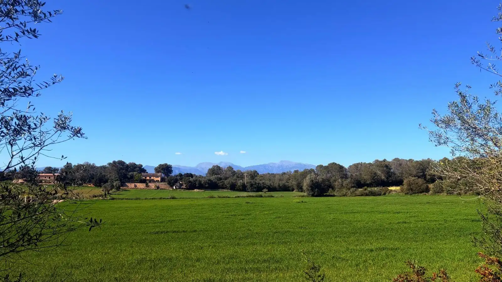 Terreni e lotti in vendita a Algaida, imagen 9