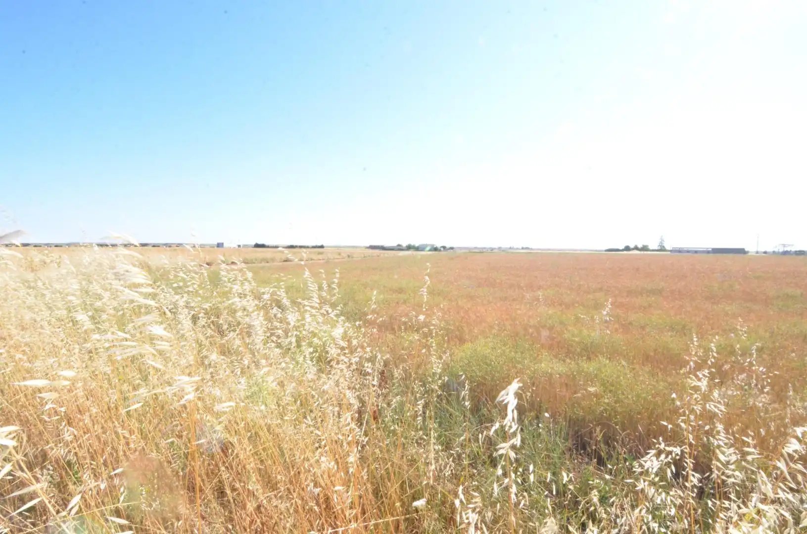 Rural land for sale in Calzada de Valdunciel, imagen 3