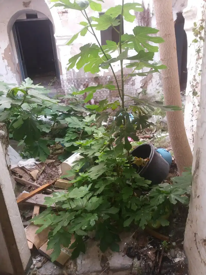 Maison à vendre à Arcos de la Frontera, imagen 12