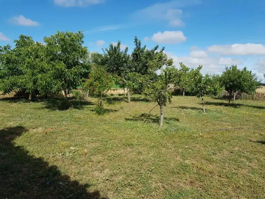 Finca rústica en venda en Aldehuela de Yeltes amb Calefacció