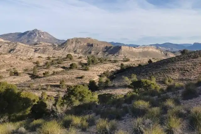 Rural land for sale in Centro, imagen 4