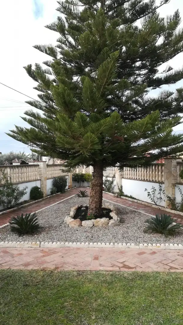 Jardí de Casa o xalet en venda en Arcos de la Frontera amb Aire condicionat, Jardí privat i Traster