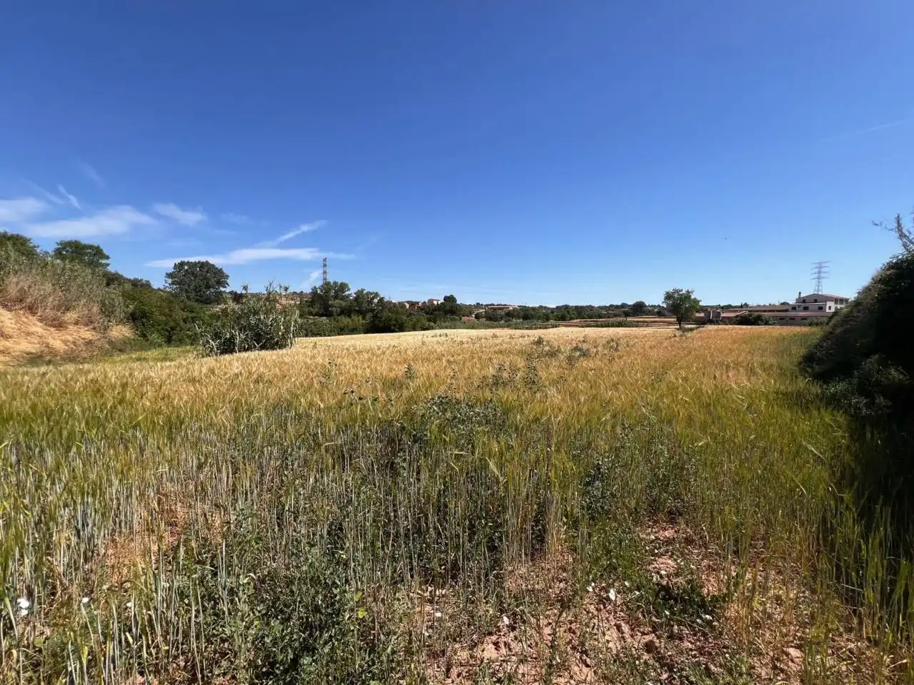 Rural land for sale in Barri Mion - Puigberenguer, imagen 3