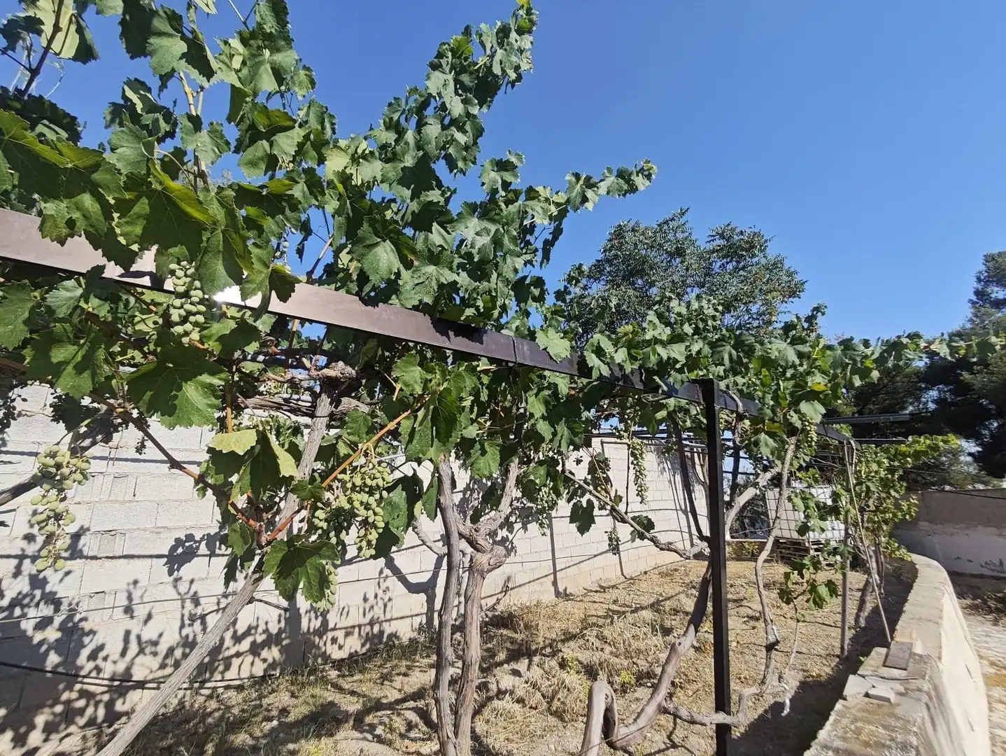House with pool for sale in Petrer, imagen 76