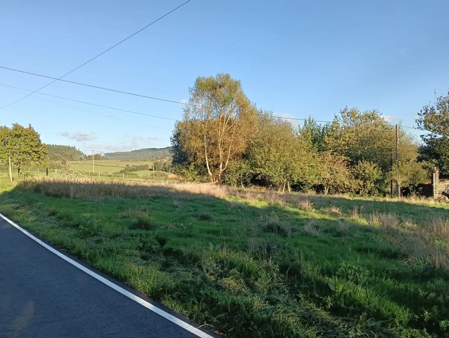 Terreno residenziale in vendita a Cesuras, imagen 8