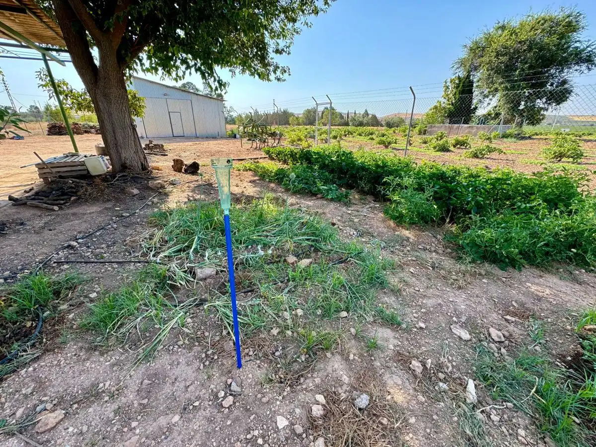 Casa rústica en venda a Valdepeñas, imagen 4