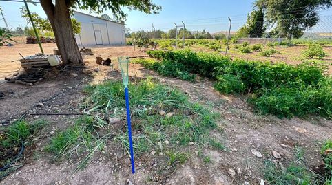 Finca Rúst. en venta en Nacional  IV., imatge 4