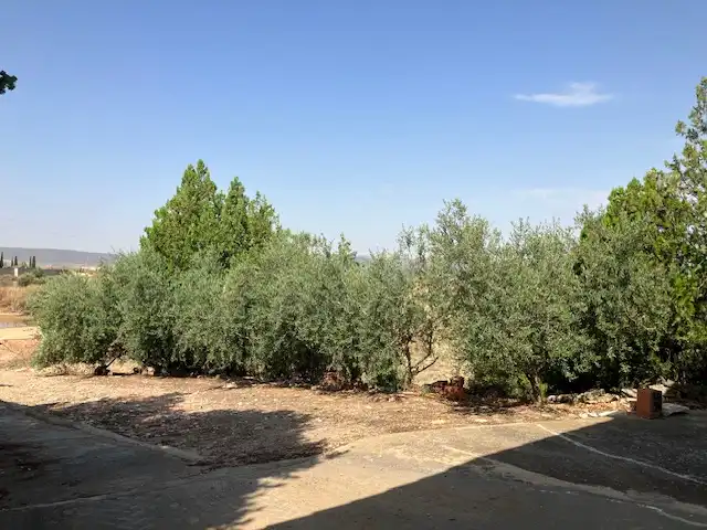 Terreni e lotti in vendita a Partida Poligono 04, imagen 14