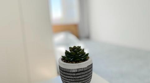 Foto 4 de Apartamento para compartir en El Torrejón - El Cerezo,  Sevilla Capital