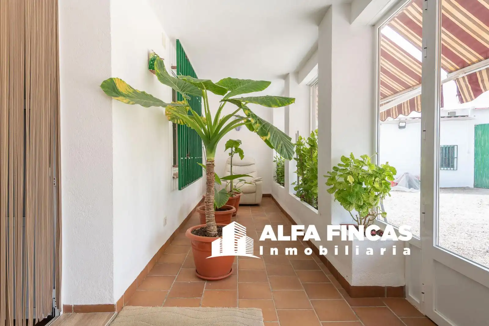 Vista exterior de Casa o xalet en venda en El Provencio   amb Calefacció, Jardí privat i Terrassa