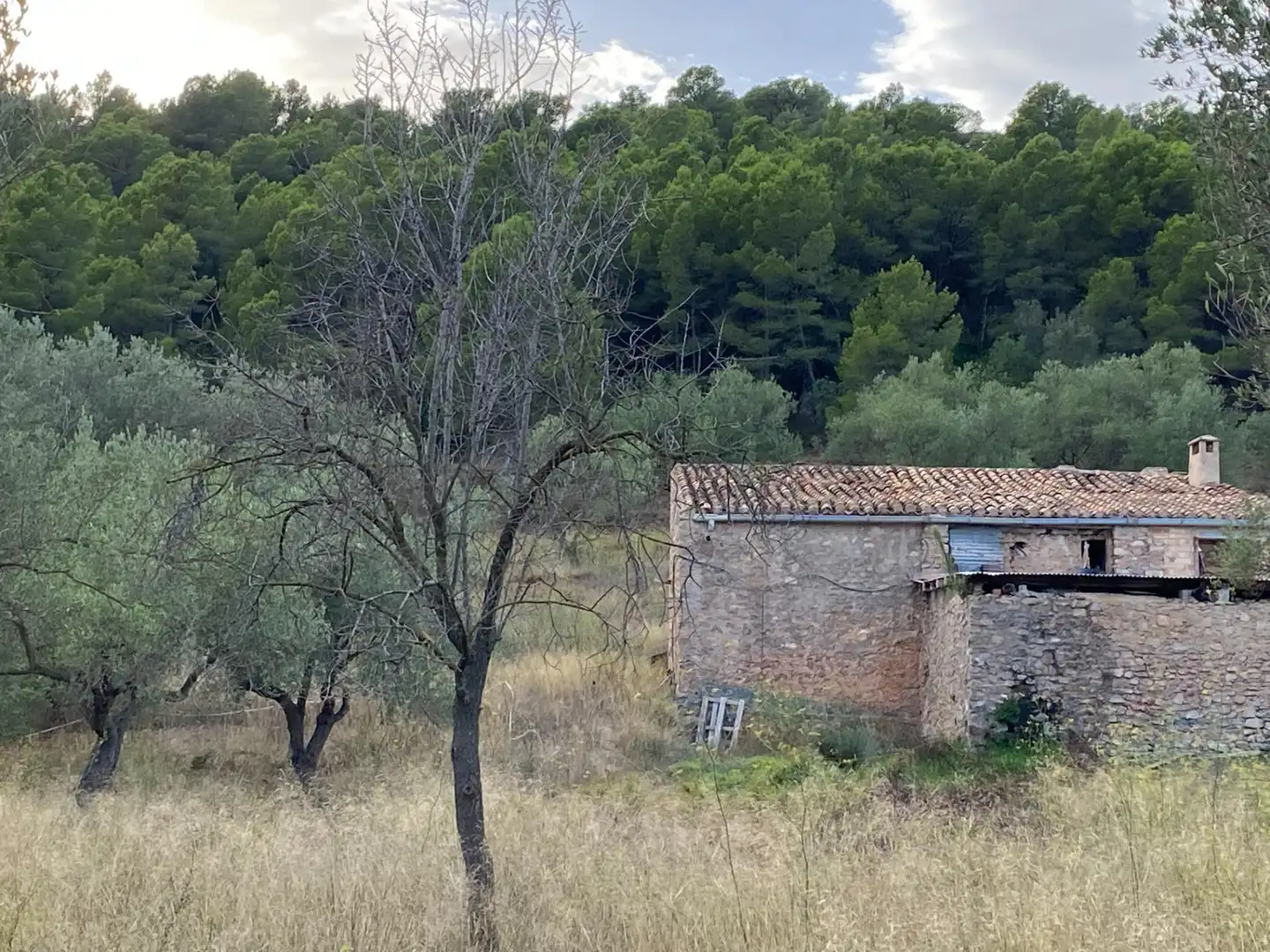 Grundstücke zum Verkauf in Alfara de Carles