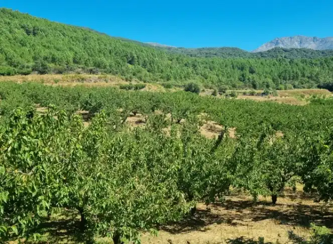 Terreni e lotti in vendita a Mombeltrán, imagen 3