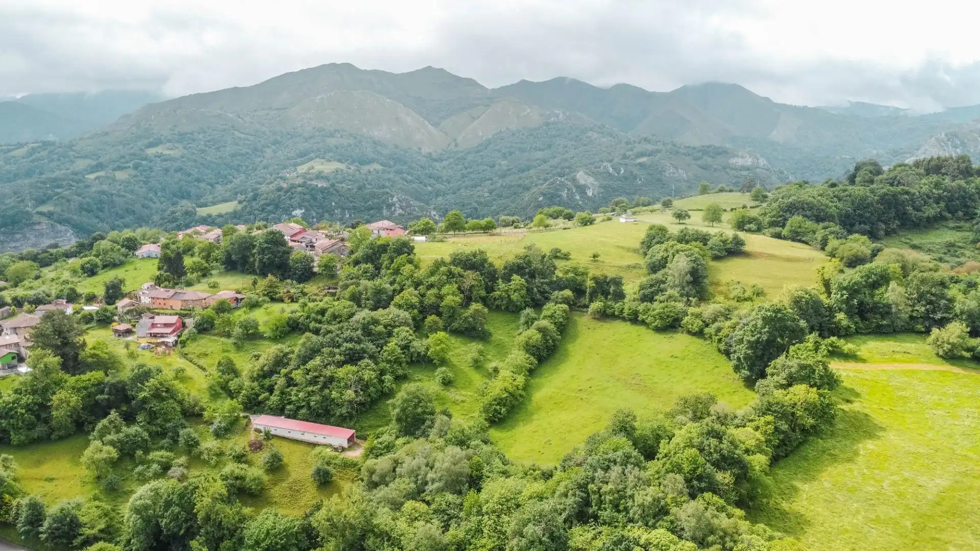Rural land for sale in Lugar Areñes, imagen 32