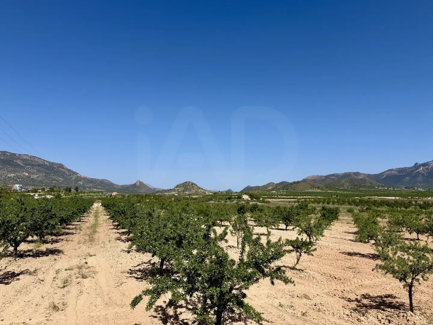 Grundstücke und Bauplätze zum Verkauf in Ricote, imagen 9