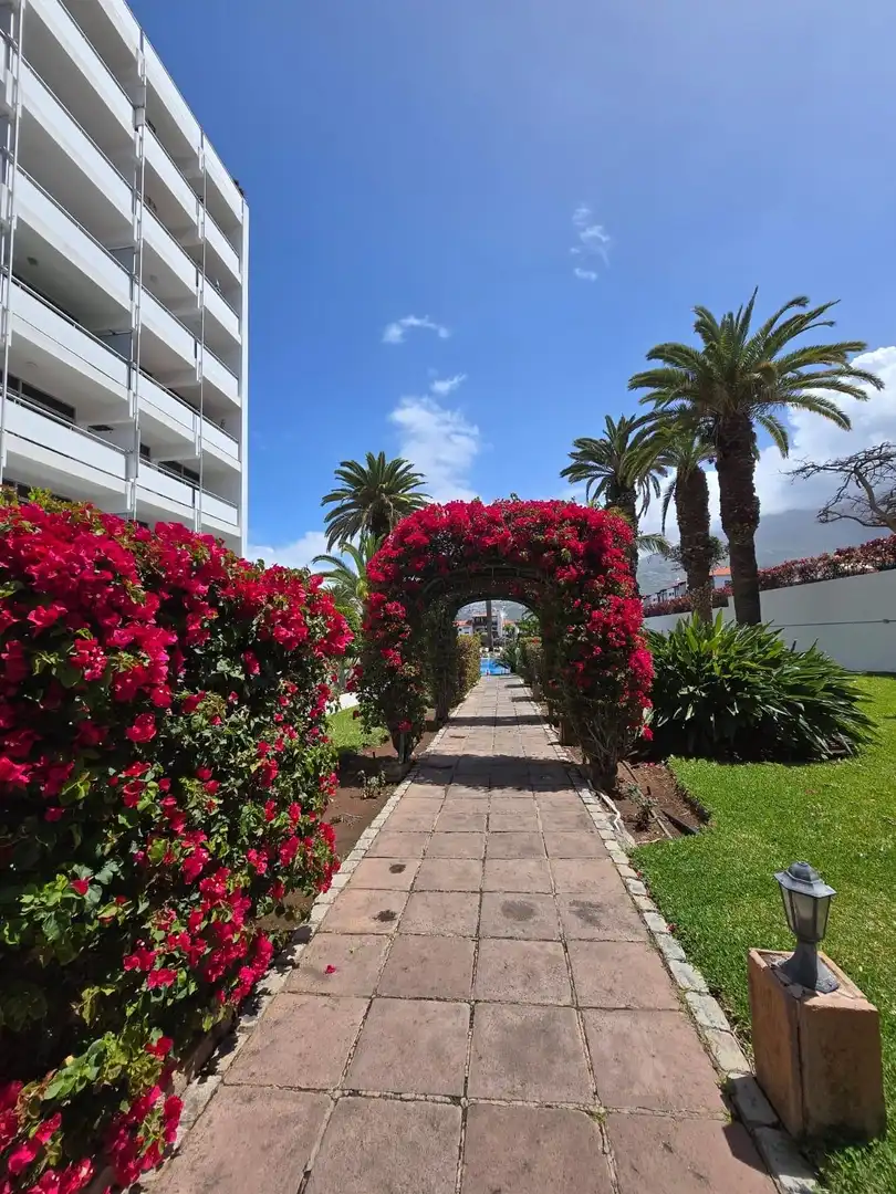 Vista exterior de Piso en venta en Puerto de la Cruz con Piscina