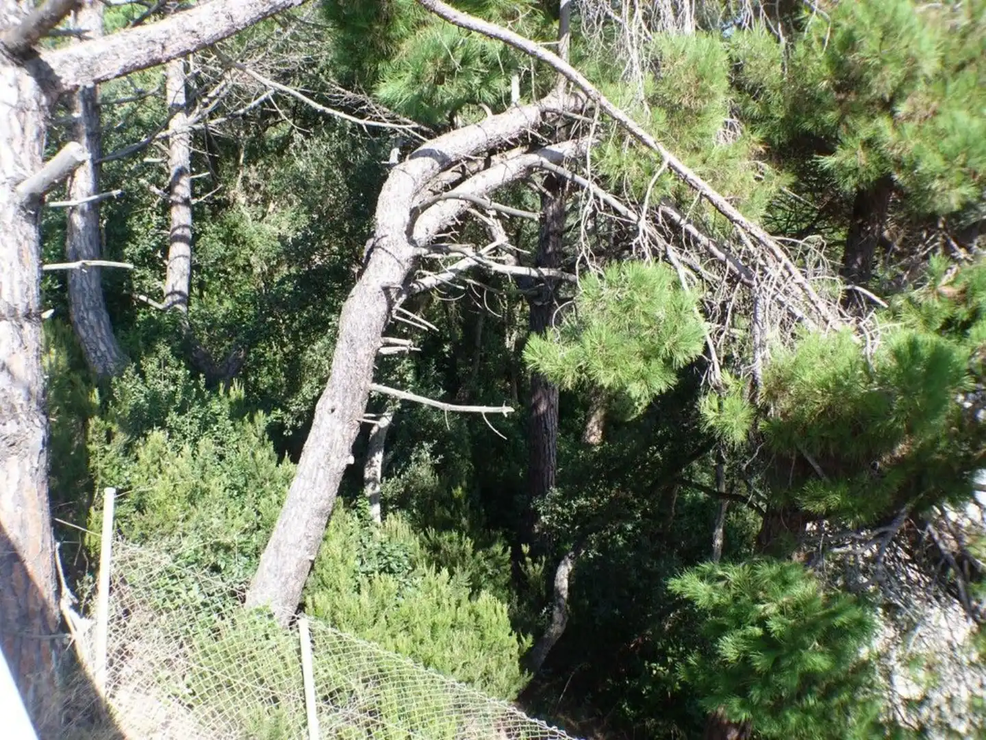 Grundstücke und Bauplätze zum Verkauf in Serra Brava, imagen 4