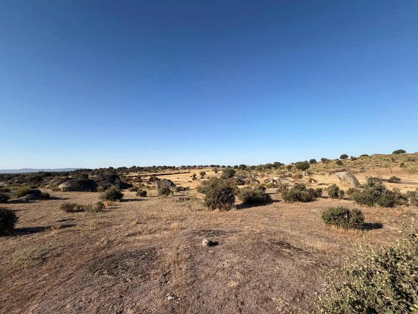 Terreno rustico in vendita a Malpartida de Cáceres, imagen 15