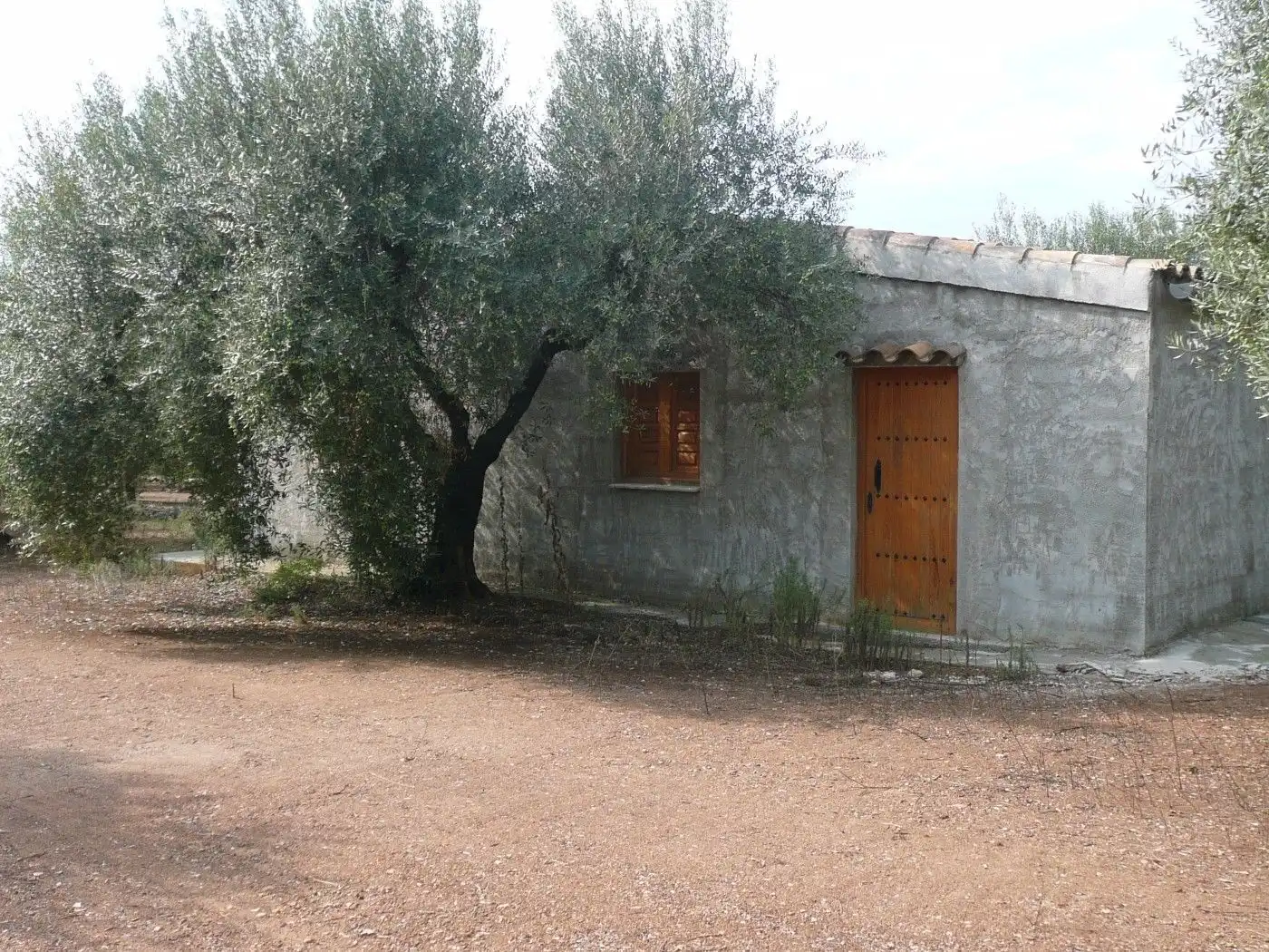 Vista exterior de Terreno en venta en Ulldecona