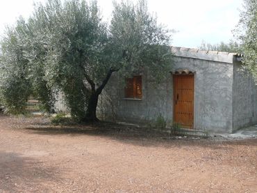 Rural land for sale in Carrer Cardenal Goma