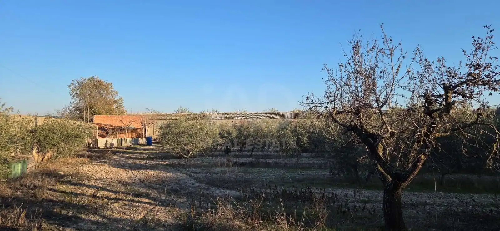 Residencial en venda en Vilagrassa