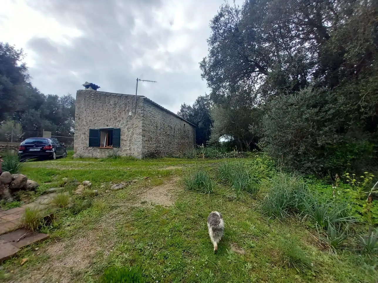 Villa zum Verkauf in Selva, imagen 9