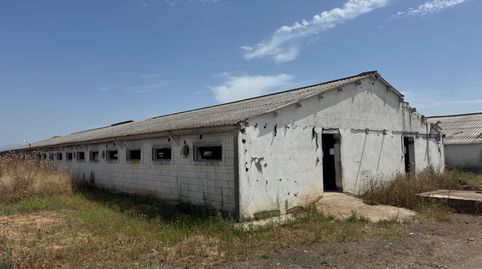 Photo 5 of Commercial properties for rent in Camino de Crespos, 540, Los Cerralbos, Toledo