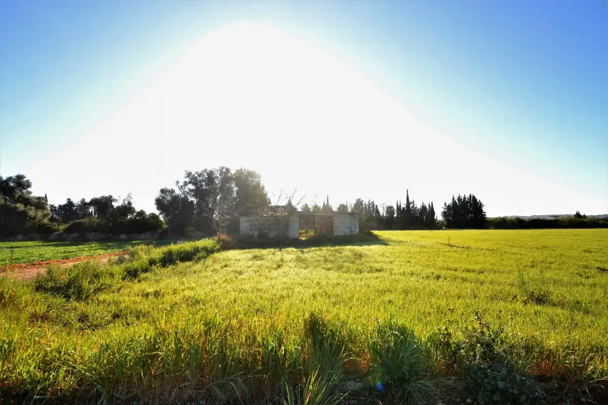 Maison rustique à vendre à Llubí, imagen 17