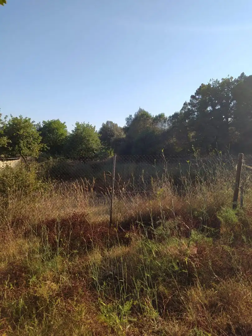 Finca rústica en venta en Riells i Viabrea