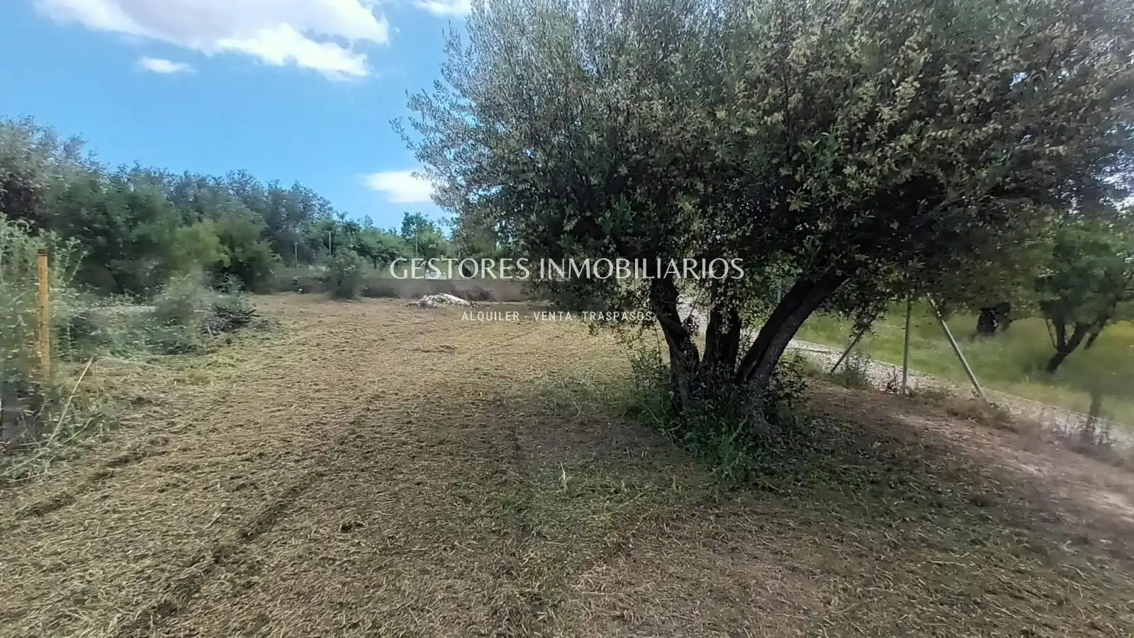 Casa o chalet en venta en Muro de Alcoy