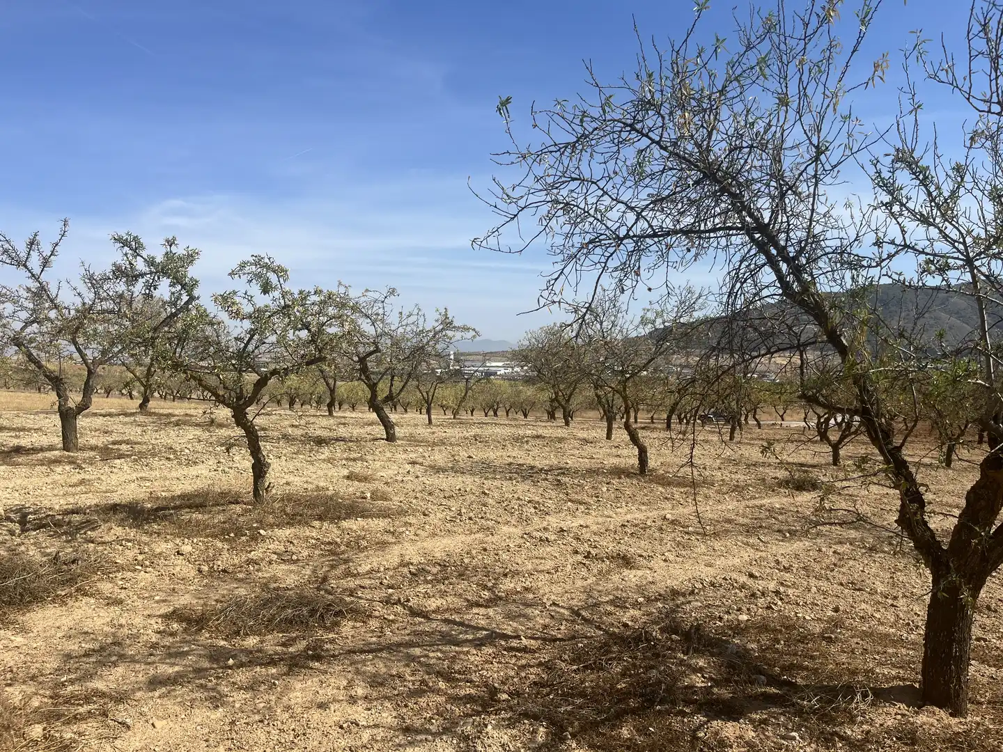 Rustikales Grundstück zum Verkauf in Avenida de Andalucía, imagen 11